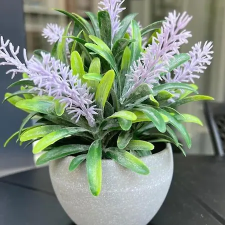 Camelia 5- Beautiful 1+1 On Cleopatra * Alanya