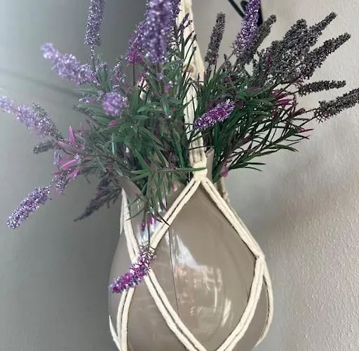 Camelia 5- Beautiful 1+1 On Cleopatra Alanya